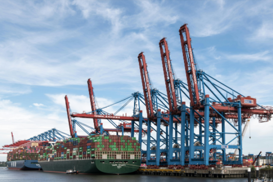 1760603339240285.jpg pexels-20251016-161859.jpg