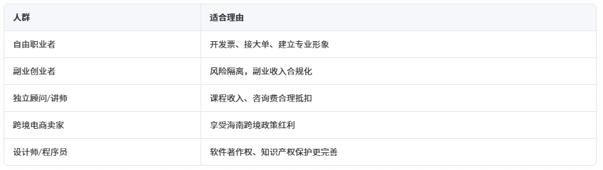 一人公司 + 海南注册_2026-04-10_145941_918.png