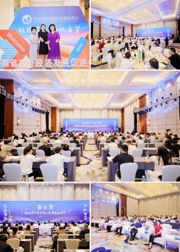 图源:海南省对外经济发展促进会,侵删