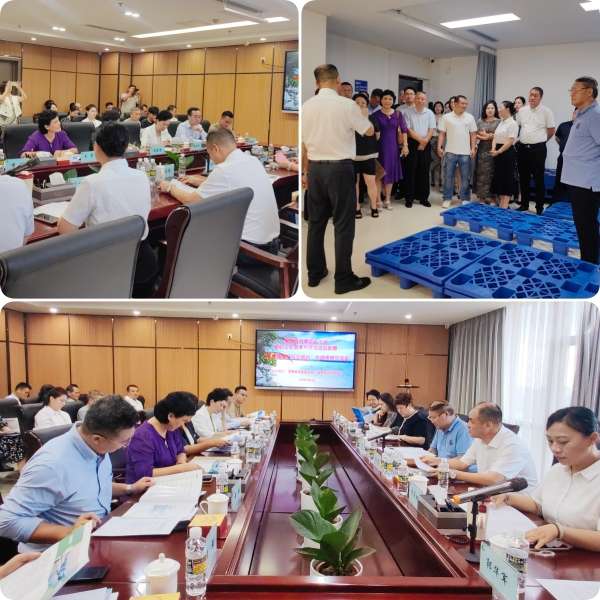 图源：海南产交所，侵删